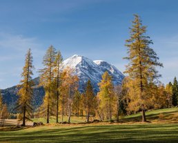 Oberer Wiesenweg Leutasch im Herbst ©Region Seefeld Oberer Wiesenweg Leutasch im Herbst ©Region Seefeld