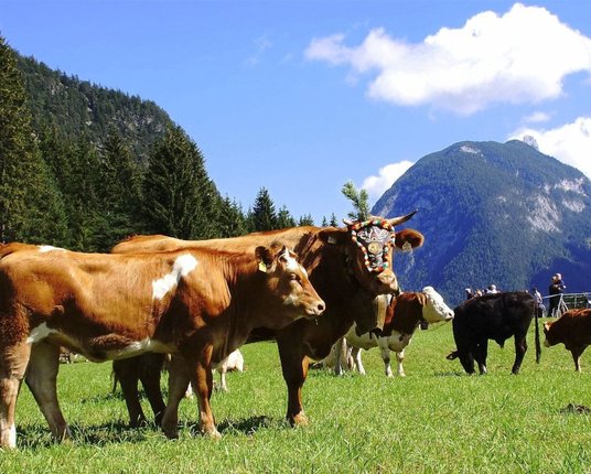 © Region Seefeld, Iris Krug