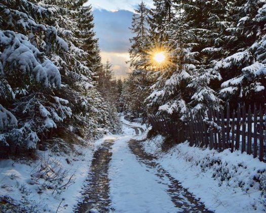 Wildmoos im Winter Aufnahme eines Winterwanderweges geeignet für Langlauf, im Wald bei Wildmoos in Seefeld