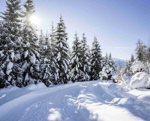 Winterlandschaft verschneite Winterlandschaft