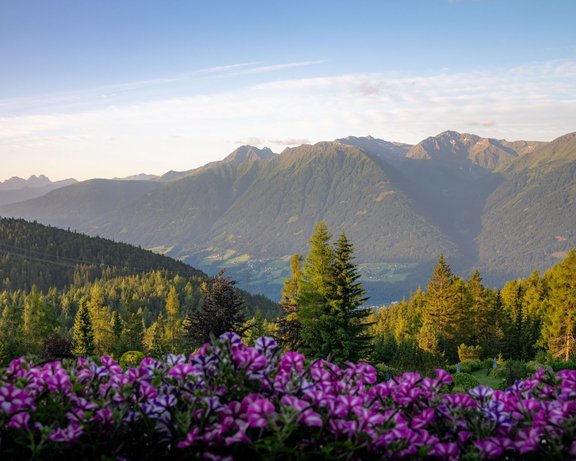 Ausblick aus dem Interalpen