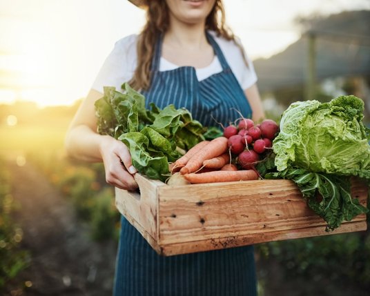 Korb mit Obst und Gemüse Eine Frau mit blauer Schürze trägt einen großen Korb mit frischem Obst und Gemüse