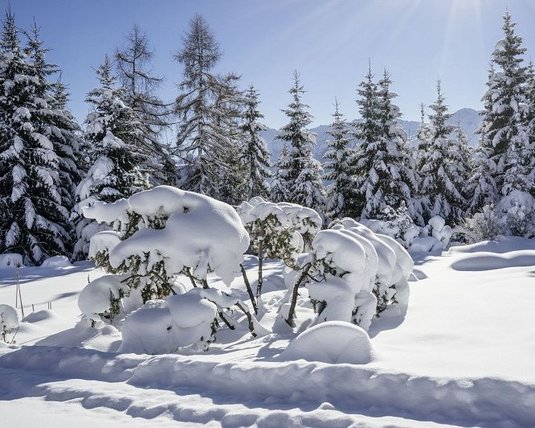 Winterlandschaft rund um das Interalpen-Hotel Tyrol