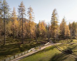 Drohnenaufnahme Wanderung im Herbst am Oberer Wiesenweg_Paar läuft auf Wanderweg mit vielen Lärchen im Hintergrund ©Region Seefeld Drohnenaufnahme Wanderung im Herbst am Oberer Wiesenweg_Paar läuft auf Wanderweg mit vielen Lärchen im Hintergrund ©Region Seefeld